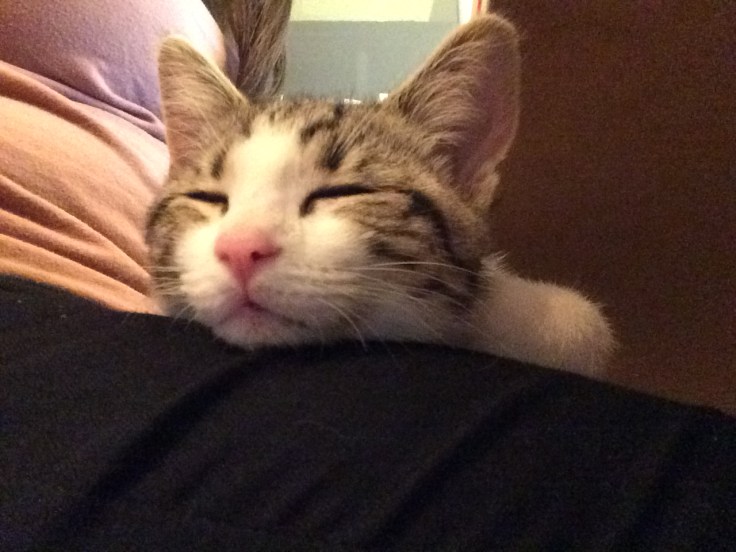 Foto 03.12.15 20 42 46