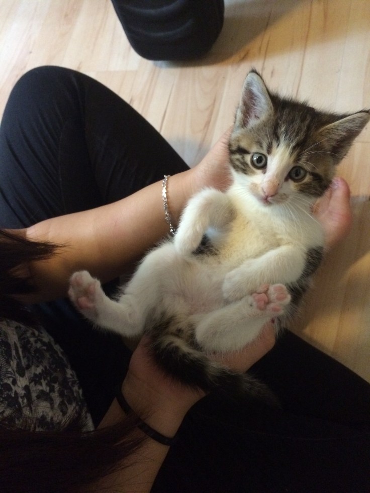 Foto 04.10.15 14 56 57