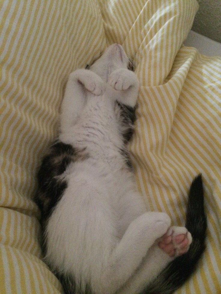 Foto 21.11.15 15 01 39