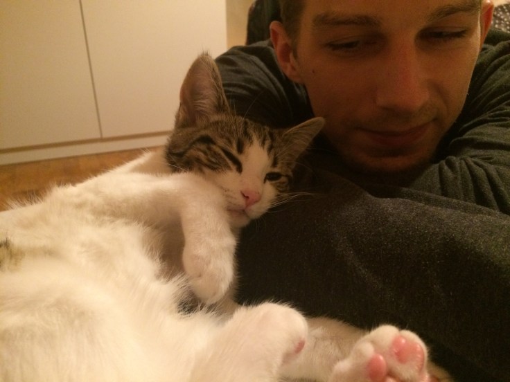 Foto 22.12.15 18 26 51