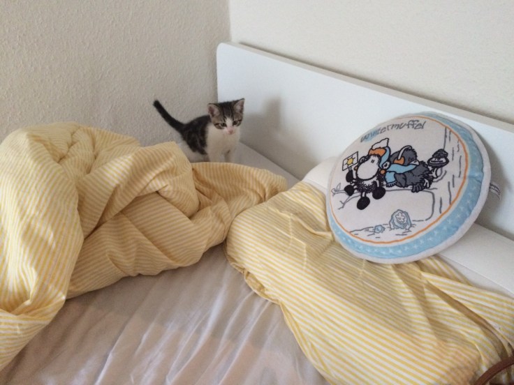 Foto 24.10.15 16 49 30