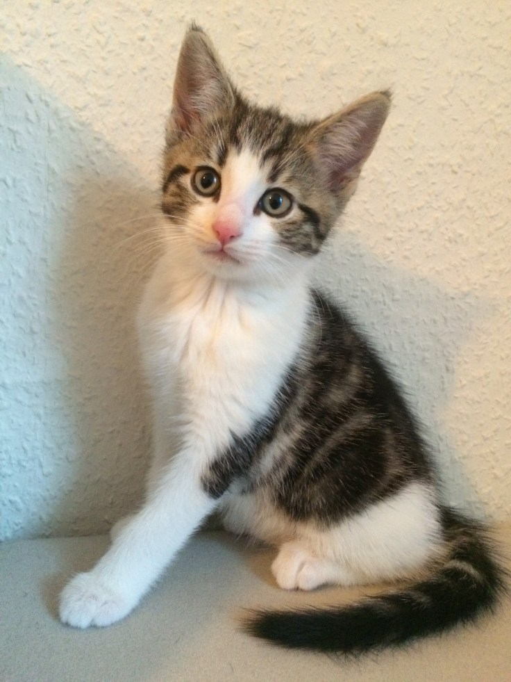 Foto 24.10.15 17 11 49