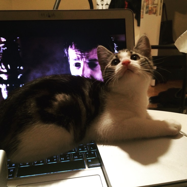 Foto 24.11.15 22 10 52