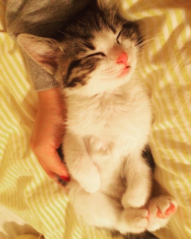 Foto 25.10.15 19 44 45