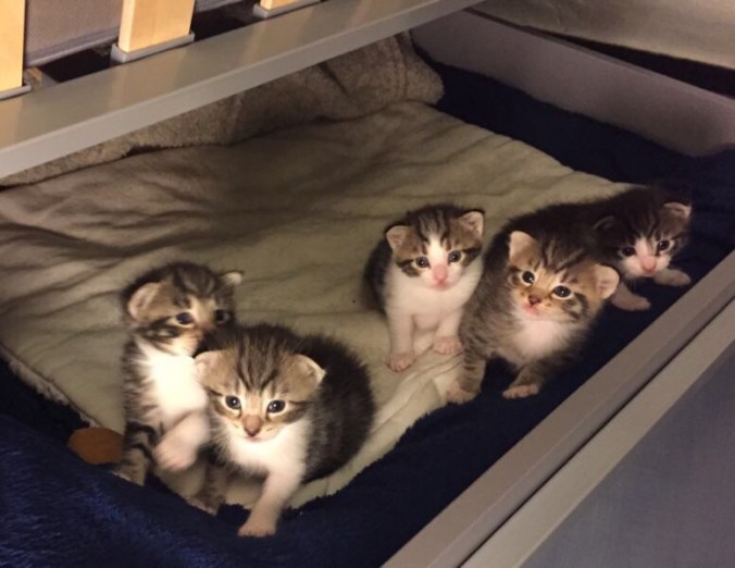 Foto 28.11.15 16 54 30